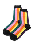 RAINBOW STRIPE CREW