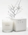 NO. 10 ABOUKIR CANDLE
