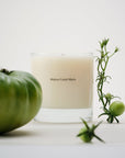 LIANE DE TOMATE CANDLE