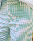 WEXFORD PANT-GREEN STRIPE