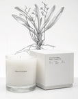 NO. 2 LE LONG FOND CANDLE