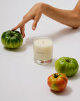 LIANE DE TOMATE CANDLE